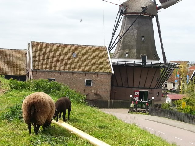 HWK Texel 094.jpg